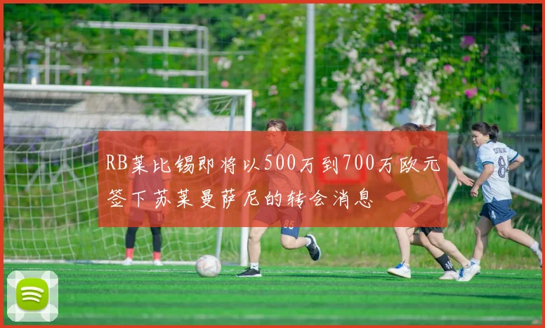RB莱比锡即将以500万到700万欧元签下苏莱曼萨尼的转会消息