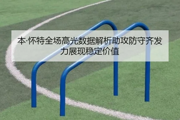 本·怀特全场高光数据解析助攻防守齐发力展现稳定价值 | ShengShi
